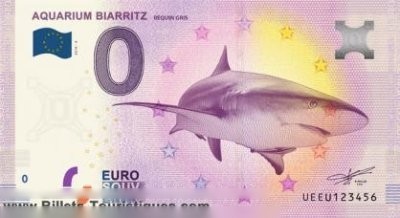 AQUARIUM BIARRITZ REQUIN GRIS