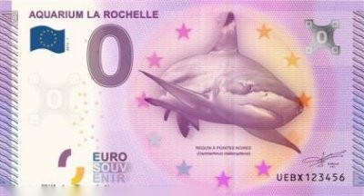 AQUARIUM LA ROCHELLE REQUIN A POINTES NOIRES