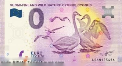 SUOMI-FINLAND WILD NATURE CYGNUS CYGNUS