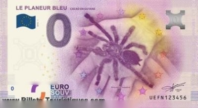 LE PLANEUR BLEU CACAO EN GUYANE