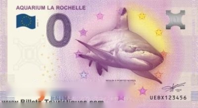 AQUARIUM LA ROCHELLE REQUIN A POINTES NOIRES