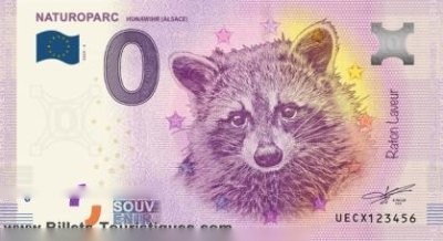 NATUROPARC HUNAWIHR (ALSACE) Raton Laveur