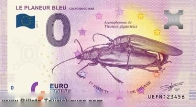 LE PLANEUR BLEU CACAO EN GUYANE