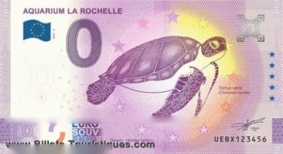 AQUARIUM LA ROCHELLE TORTUE VERTE
