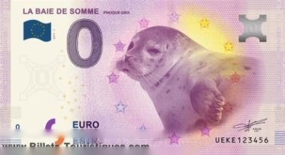 LA BAIE DE SOMME PHOQUE GRIS