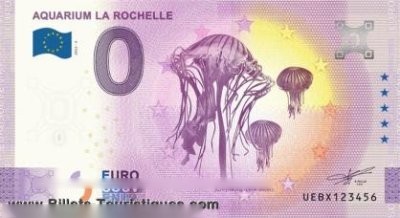 AQUARIUM LA ROCHELLE Méduse striée