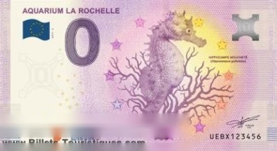 AQUARIUM LA ROCHELLE HIPPOCAMPE MOUCHETE