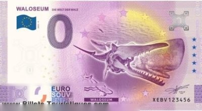 WALOSEUM DIE WELT DER WALE