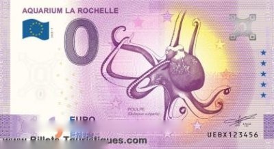 AQUARIUM LA ROCHELLE POULPE