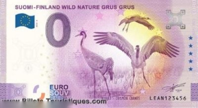 SUOMI-FINLAND WILD NATURE GRUS GRUS KURJET - COMMON CRANES