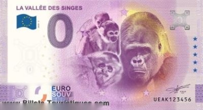 LA VALLÉE DES SINGES