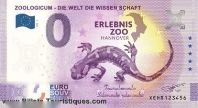 ZOOLOGICUM - DIE WELT DIE WISSEN SCHAFT ERLEBNIS ZOO HANNOVER Feuersalamander salamandra salamandra