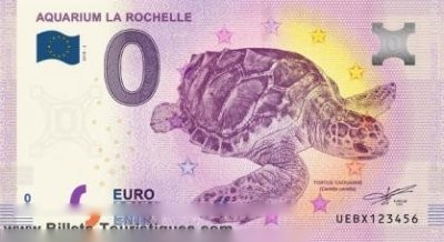 AQUARIUM LA ROCHELLE TORTUE CAOUANNE